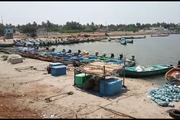 Fishermen said that they will not go to sea for fishering due to corona virus threat