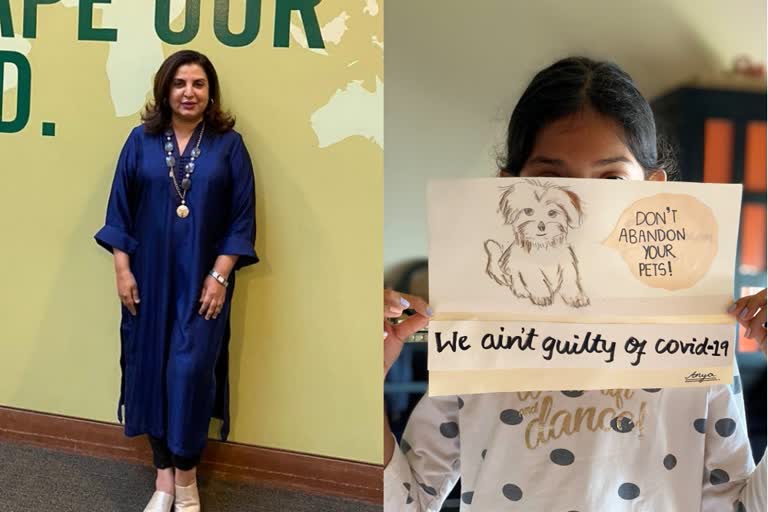 COVID-19: Farah Khan's daughter raises Rs 70,000 to feed homeless, stray animals