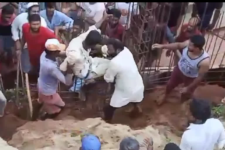 Three workers caught in the mud ,protection from the locals in sakaleshpura