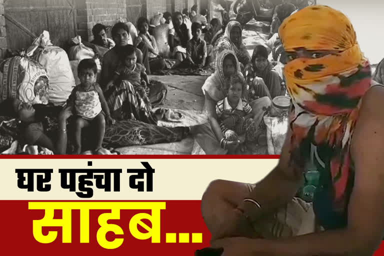 स्पेशल रिपोर्ट, बांसवाड़ा की खबर, rajasthan news, banswara news, राजस्थान की ताजा खबरें