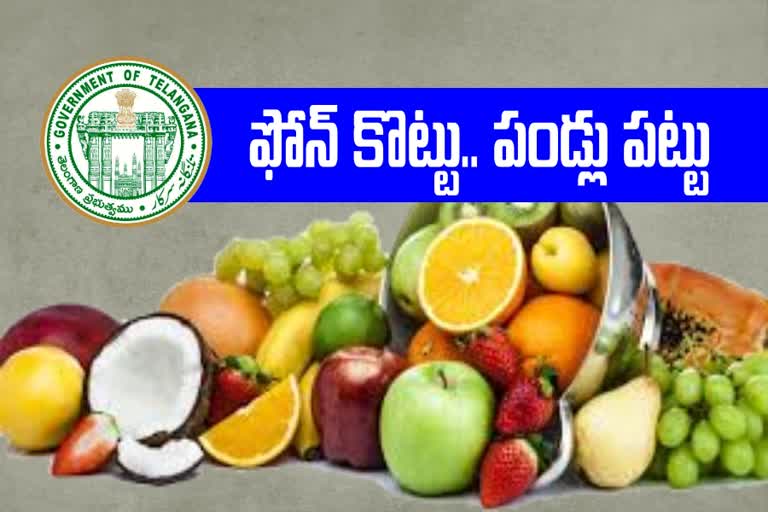 governament decide to fruits door delevery in hyderabad