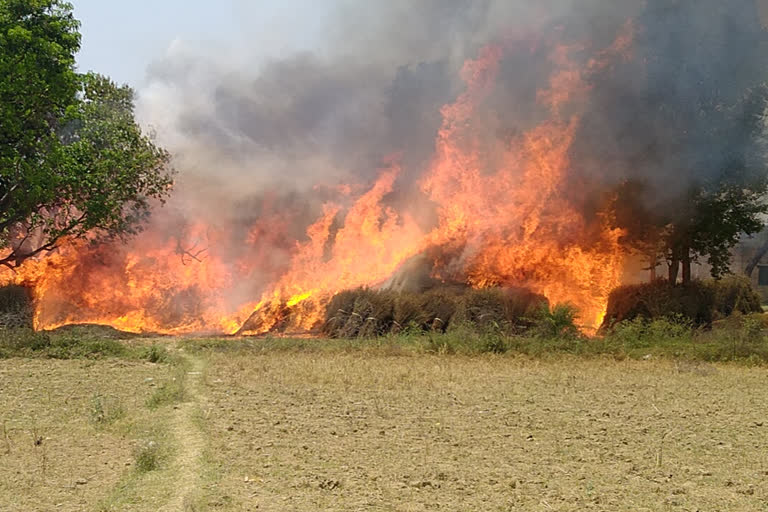 wheat destroyed due to fire in gaya