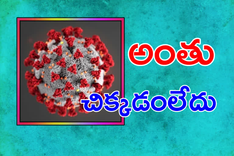 corona virus situation in ap