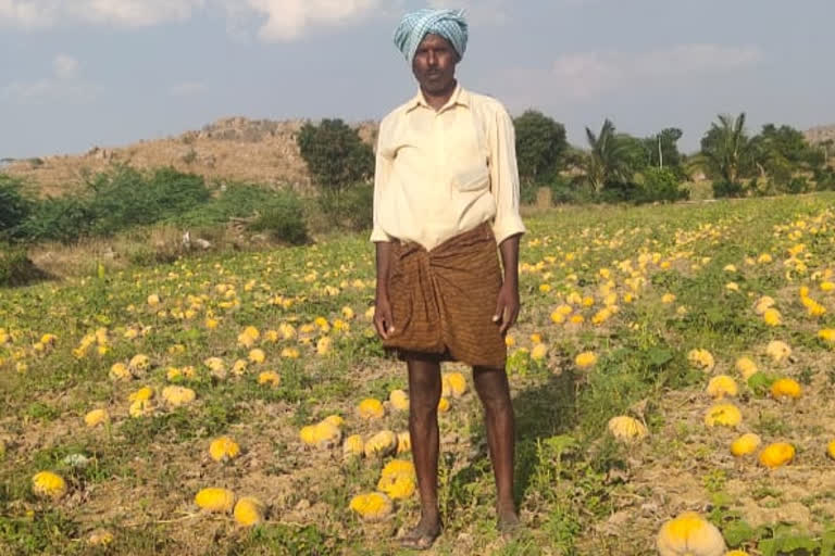 ಲಾಕ್ ಡೌನ್ ಸಂಕಷ್ಟ