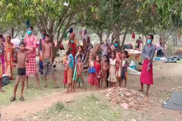 Chhattisgarh workers are living in forest due to the lockdown