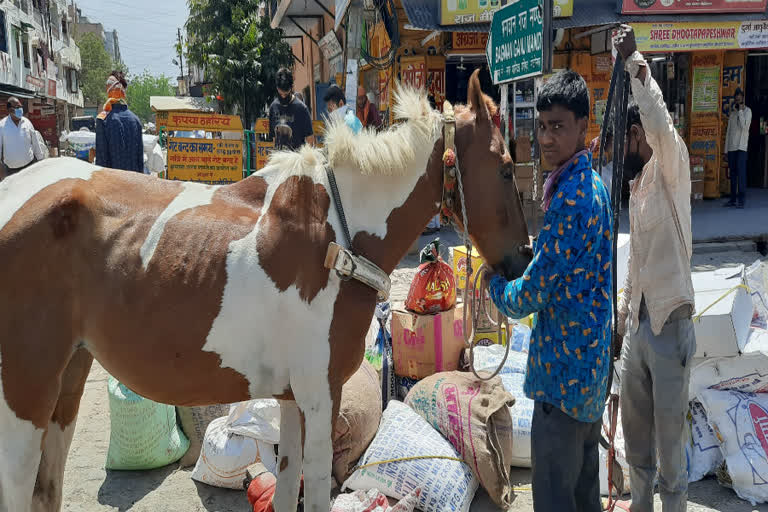 Tanga broke while moving in Modinagar at Ghaziabad