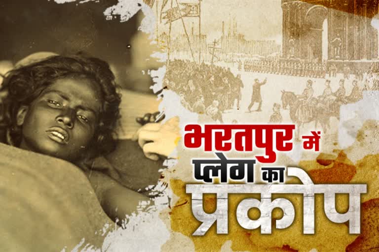 plague epidemic भरतपुर न्यूज