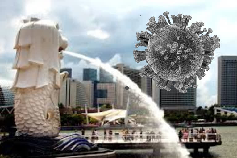 59 indians in singapore infected with coronavirus