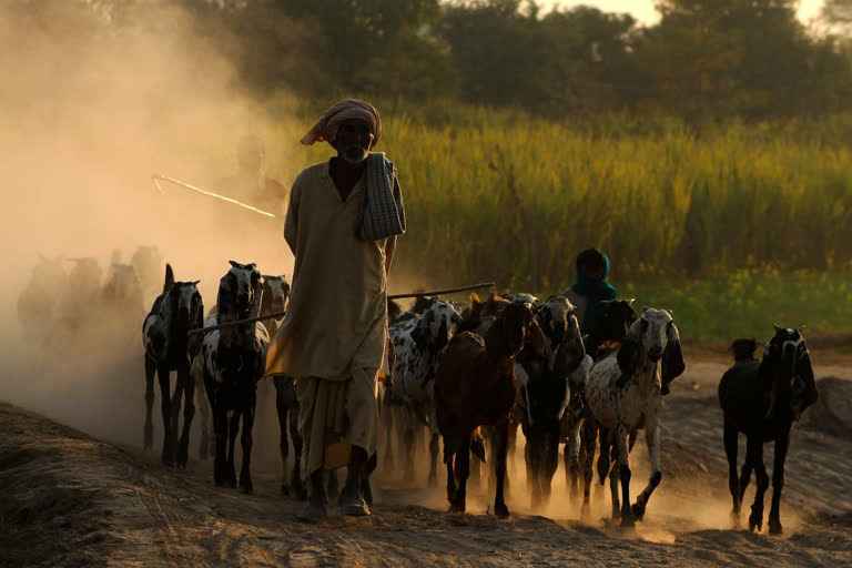 Leader of Rural Seva Dal writes letter to CM in raipur