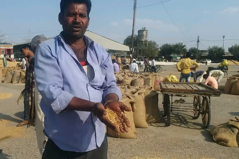 Administration prepared for the purchase of grains in mandsaur