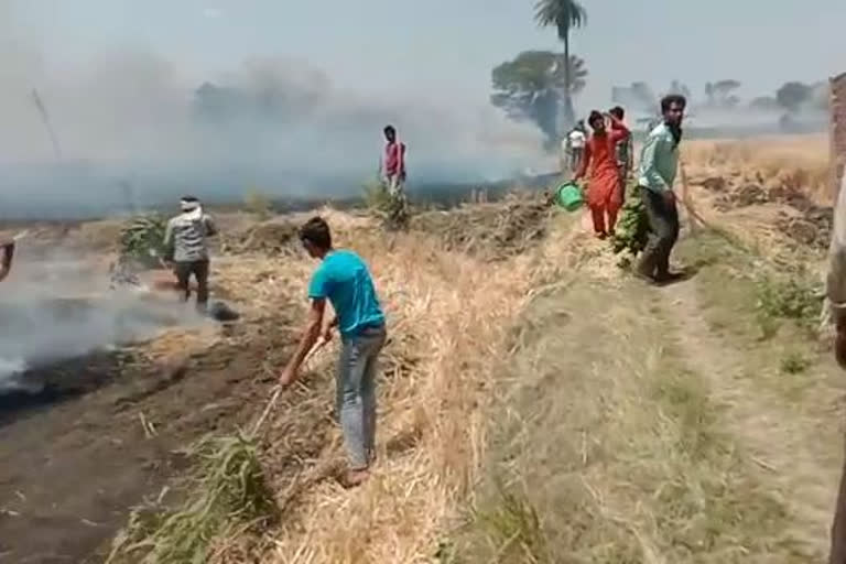 Wheat crop of 20 farmers caught fire due to short circuit