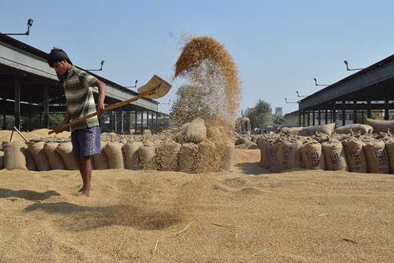 grain markets