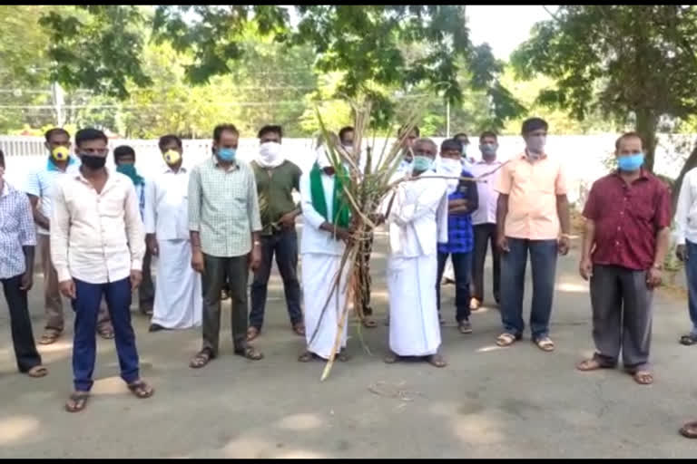 farmers protest in Hasan