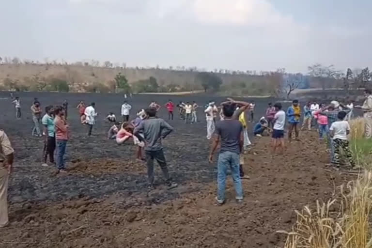 Wheat crop destroyed on 20 acres