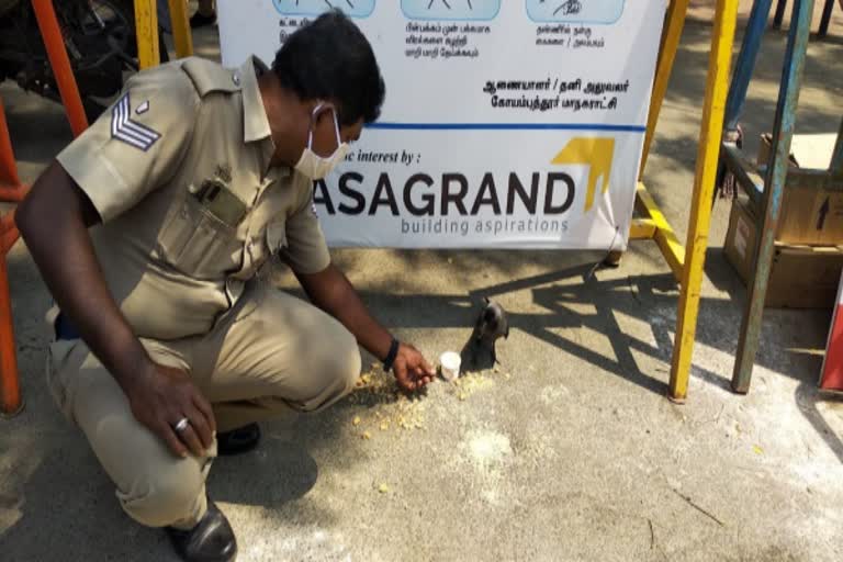 Coimbatore policeman who saved the battered crow