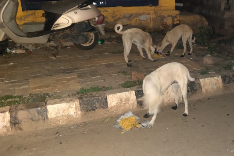 মানৱতাৰ খাতিৰত পথলৈ ওলাই অহা কেইগৰাকীমান স্বেচ্ছাসেৱক