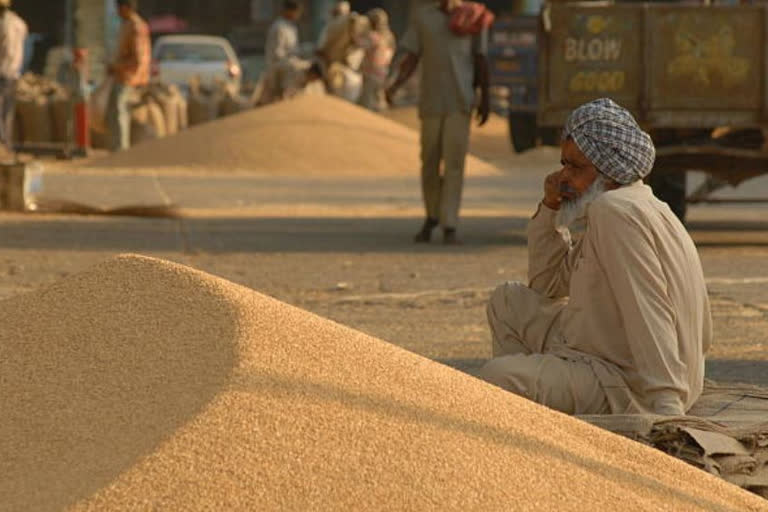 कोविड 19 अनाज का स्टॉक भरा है, लेकिन समस्याएं भी कई हैं