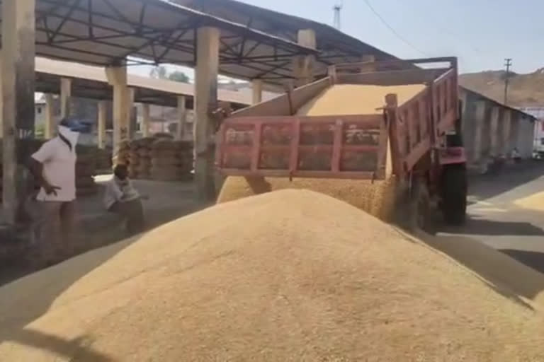 Nandurbar Agricultural Market