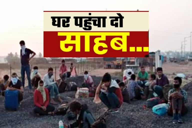 प्रवासी मजदूरों की कहानी, जालोर की खबर, लॉकडाउन अपडेट, rajasthan news, jalore latest news, jalore migrants labours