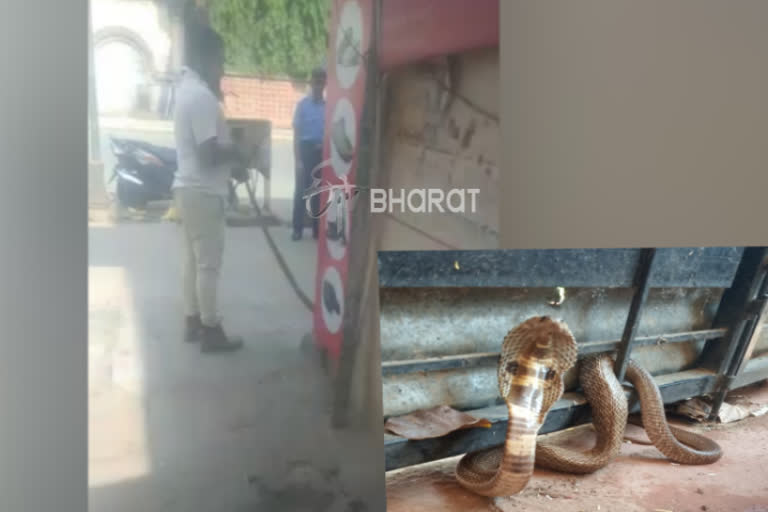 Snake Protection and Awareness by Urologists in Hubli