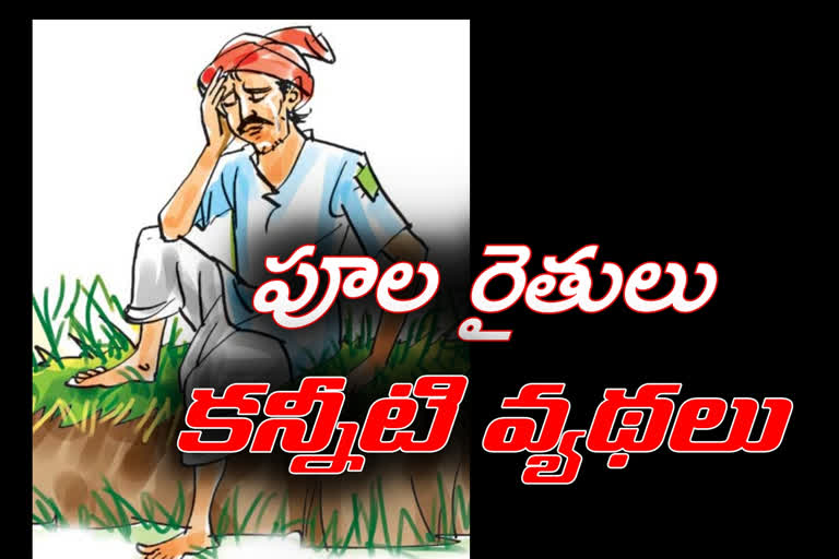 flower farmers troubles in telangana