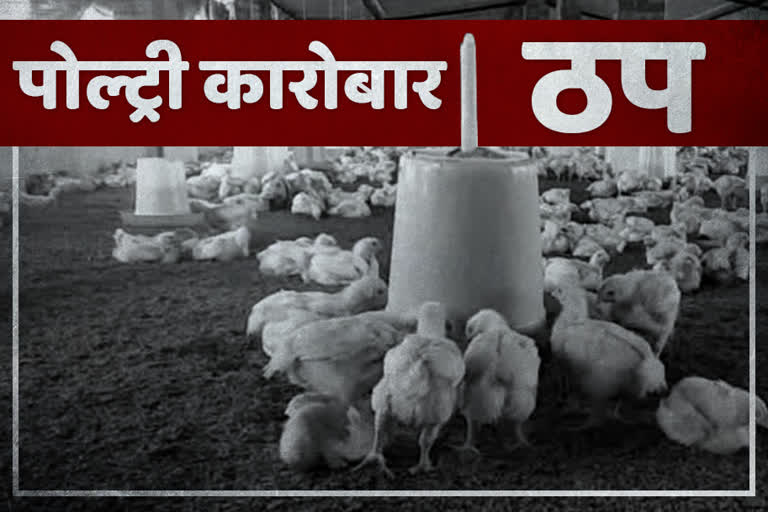 Poultry Business stopped due to corona virus in jharkhand