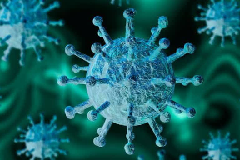 First coronavirus patient in Nashik recovers  discharged  ആദ്യ കൊവിഡ് രോഗി ആശുപത്രി വിട്ടു  ആദ്യ കൊവിഡ് രോഗി  കൊവിഡ് രോഗി