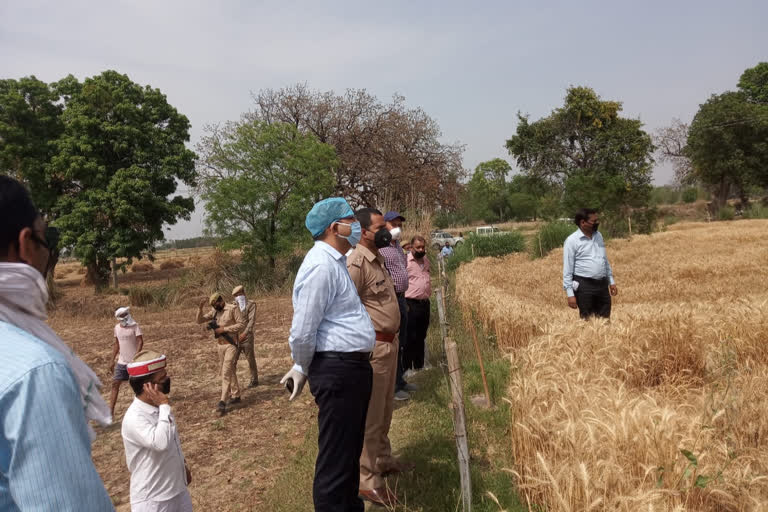 dm inspection of crop cutting