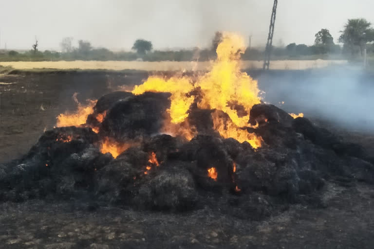 Wheat field caught fire in Jabalpur