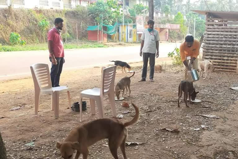 President of the village panchayat that feeds street dogs