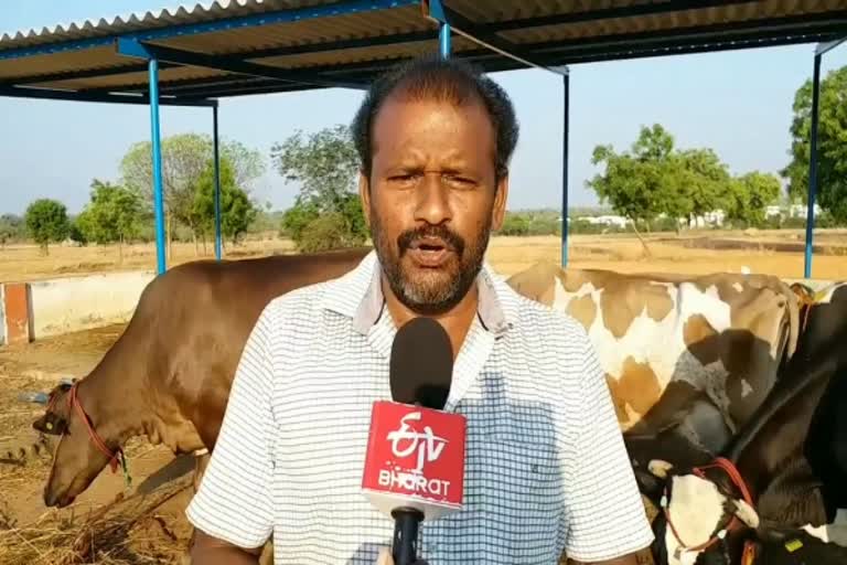 cow feed shortage due to curfew in perambalur