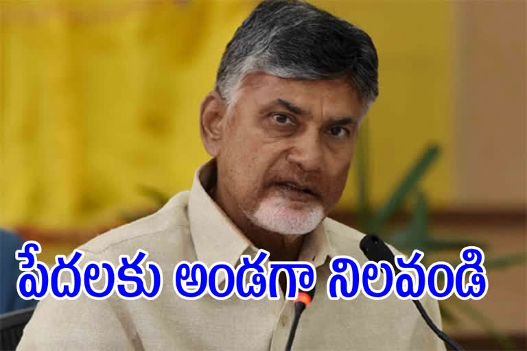 tdp chandrababu naidu