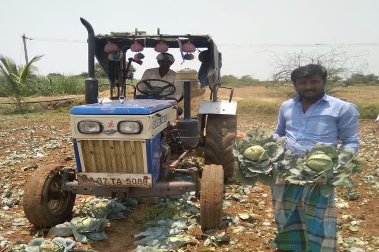 A farmer destroys a crop in Koppal