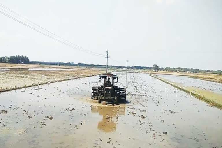 கரோனாவால் பாதித்த கோடை கால விவசாயப் பணி