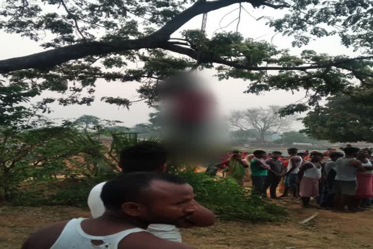 body of a young man hanging from a tree