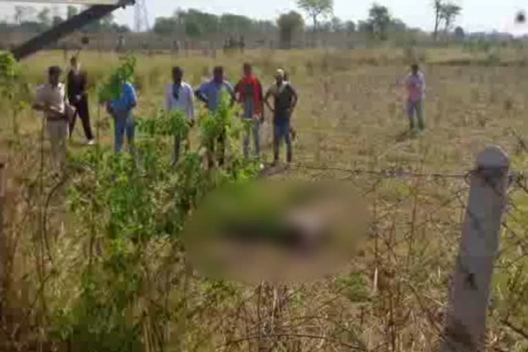 Dead body found in farm