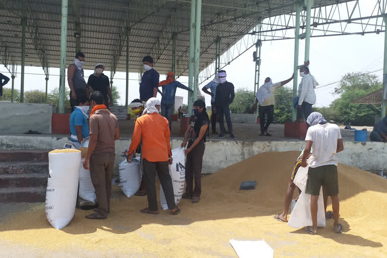 Purchase of crops at procurement centers in Narsinghpur