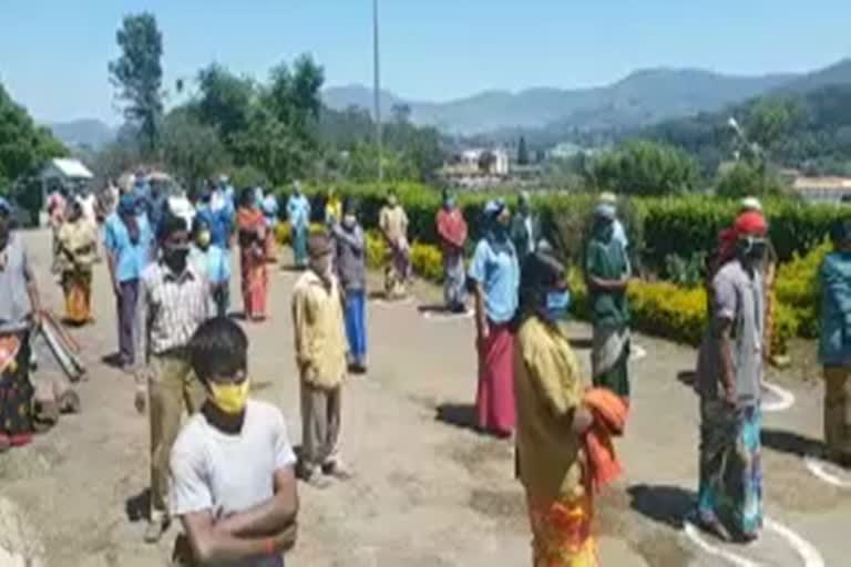 tantea-labours-strike-for-demanding-salary-at-coonoor