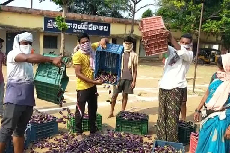 Farmers are throwing brinjal in Devarapalli