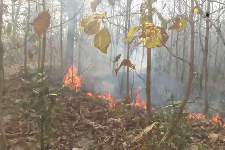 Ratanpur forest fire