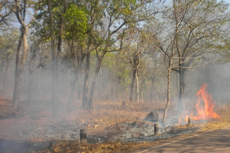 Everyday fire in Saranda forest in chaibasa