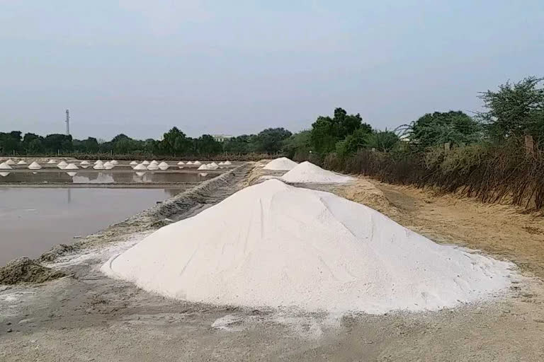 Salt Refinery in Nagaur, Corona update in Nagaur, नागौर में कोरोना अपडेट