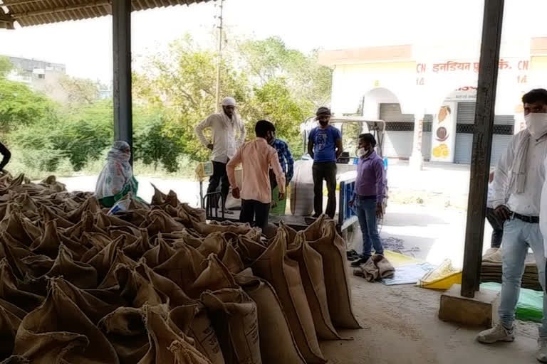 गेहूं की खरीद हुई शुरू