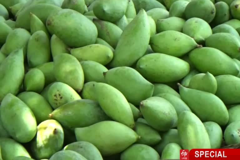 virudunagar mango farmers demand to government to set mango markets