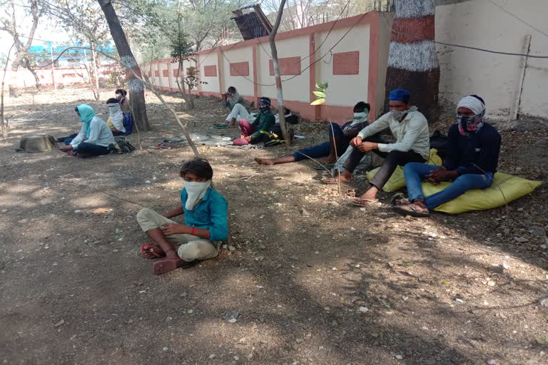 Laborers came to Susner to break the orange from Punjab