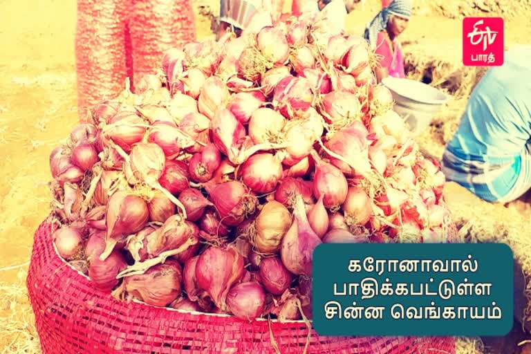 சின்ன வெங்காயம் தொகுப்பு  பெரம்பலூர் சின்ன வெங்காயம்  கரோனா சின்ன வெங்காயம் பாதிப்பு  Small onion Story  Perambalur Small onion Story  Corona Small Onion Issue