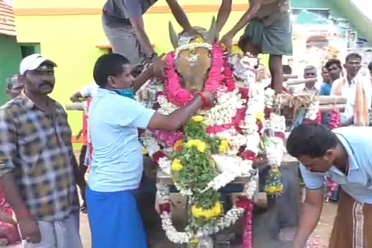 Village holds funeral for jallikkattu bull  ലോക്ക് ഡൗണ്‍ ലംഘനം  തമിഴ്‌നാട്‌  tamilnadu