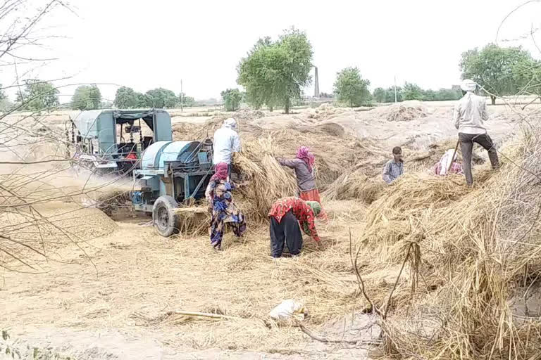 Farmers are very happy with the relaxation given in the agricultural work in the lockdown