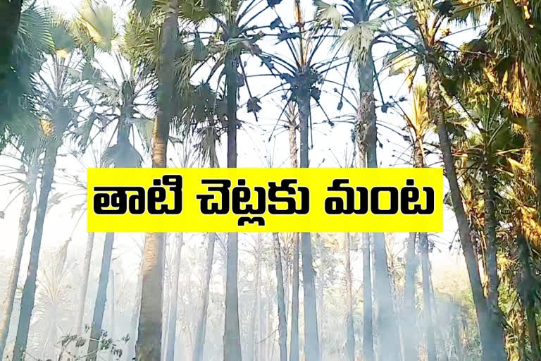 the palm forest fire is family losing their jobs in parkal