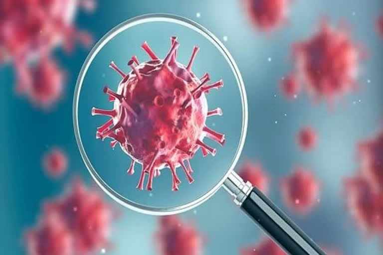 Man who tested positive for coronavirus dies in Punjab's Ludhiana  ലുധിയാന  പഞ്ചാബ്